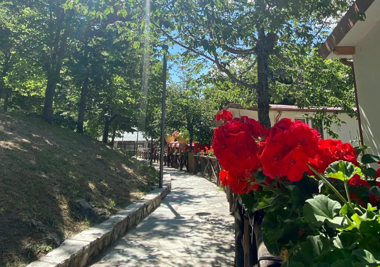 Camping Village La Verna Chiusi della Verna Luaran gambar
